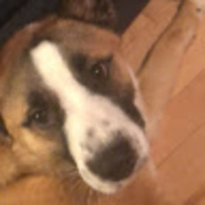 Meet your Posher, Kelley